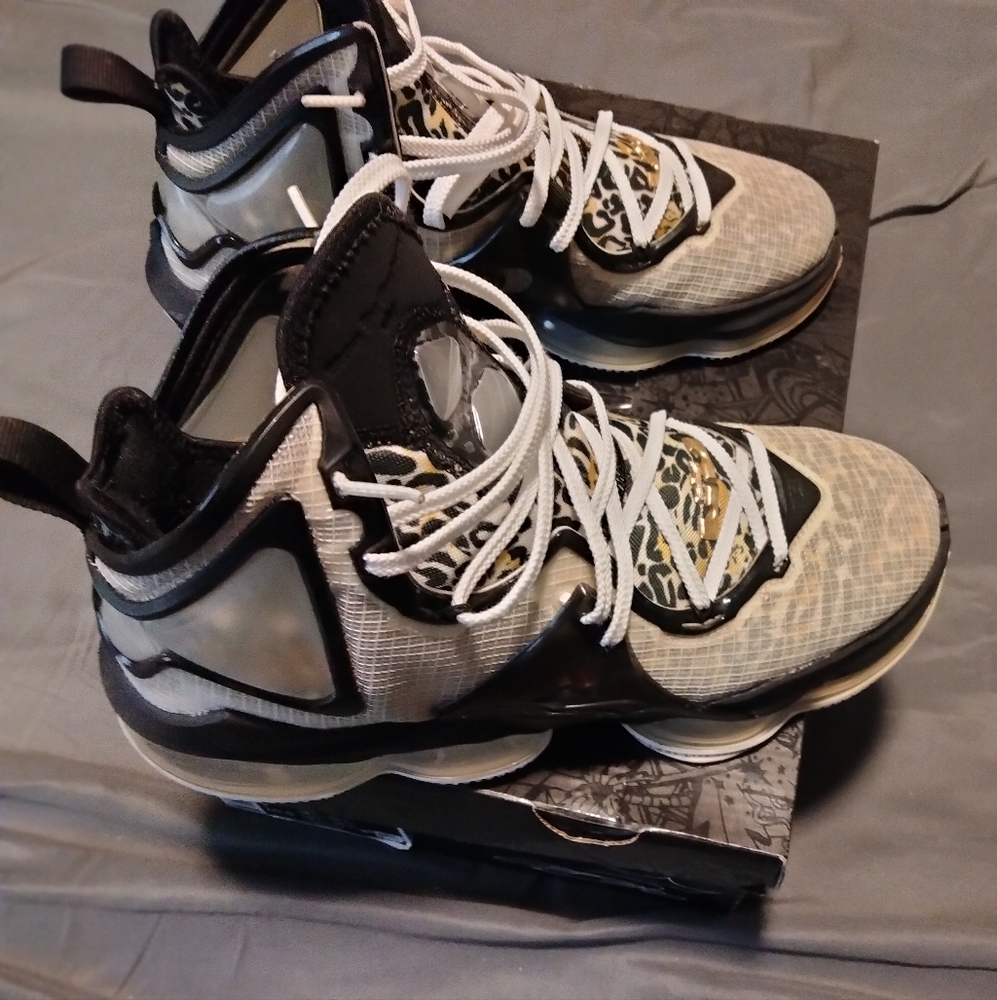 Lebrons - image 3